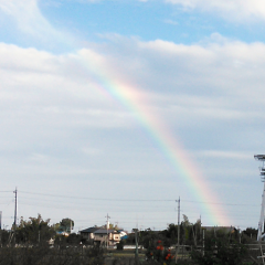 写真撮るのが好きな人(1)