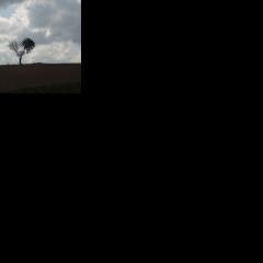 道産子絡んで！笑