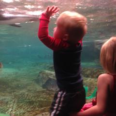 僕ちゃんと何したい？