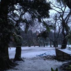 都内雪らしい。どうする?