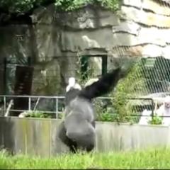 ぶんっ！