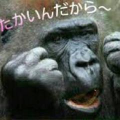 755キチガイ多すぎこわたん。