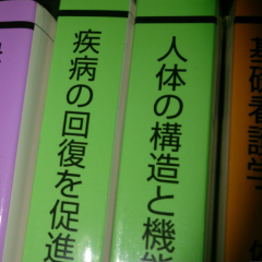解剖、看護自己復習