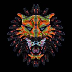 バッシュについて語りませんか？