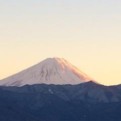 山梨県民の中学生