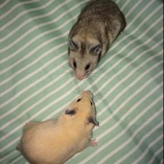 動物大好き