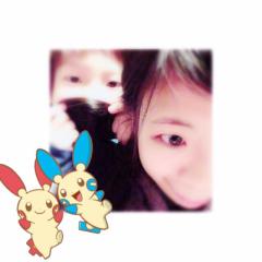 ノザワハルノ