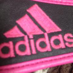 ハッシーのトーク