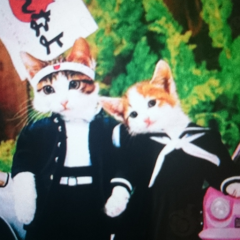 歴代アイドルは誰❔