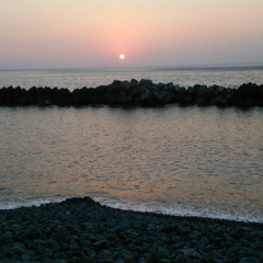 静岡県民なら静岡県民らしく入ってきたらいいじゃなーい(σ≧▽≦)