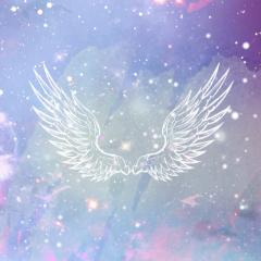 誰でもいいので来てください（≧∇≦）