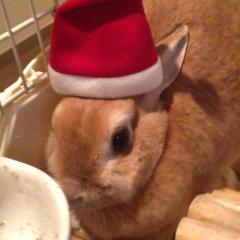 のんのんのトーク