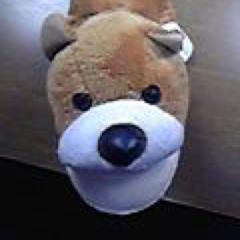 わんわん（コロ助）の独り言ww