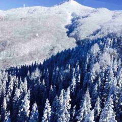 仙台の彼女ヨロシク(=^ェ^=)✌️