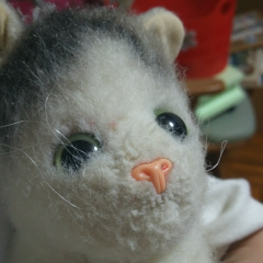 ☆LOVE三毛猫のノア☆