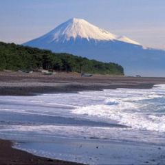 ヒマ！相手してくれ〜