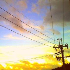 はる部屋  説明文読んでからね