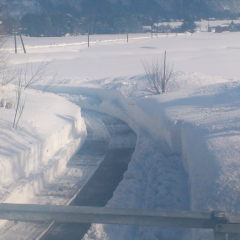 ロビンソンのトーク