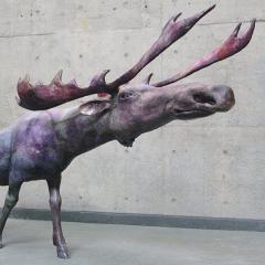 荒らしたい人どうぞ