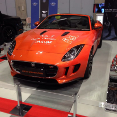 🐯Wasabi with Child🐯