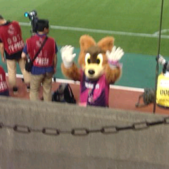 クマタマン