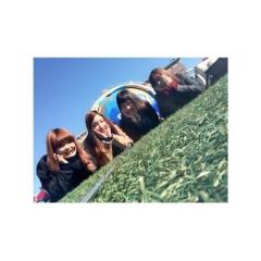 ま い ま いのトーク