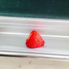 さのこたのトーク