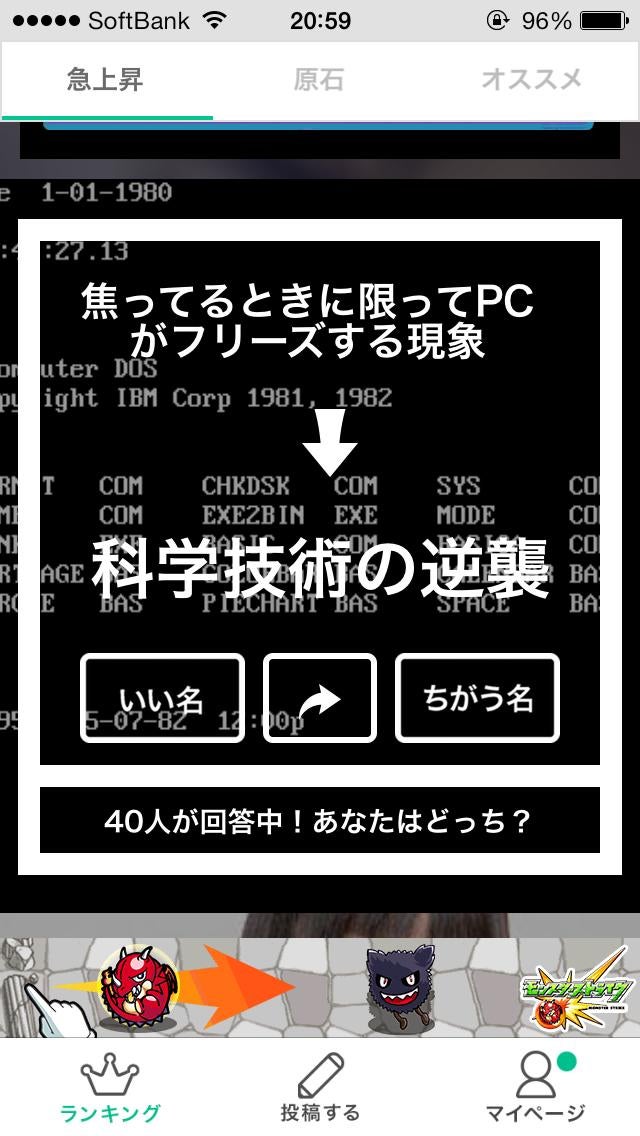 投稿画像