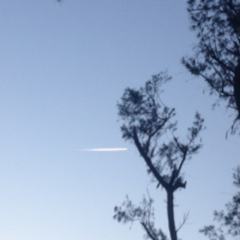 ゆう、陽菜のトーク💕