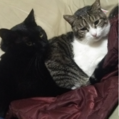 だーれーかー笑 話そWW