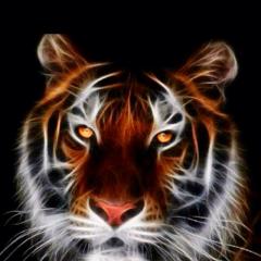 熊さんのトーク