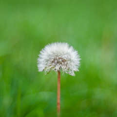 新潟！ 暇人さんきて(๑・₃・๑)