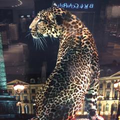 九州人いますかー？