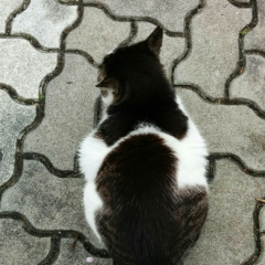ひねくれ者の部屋
