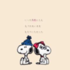さくらんぼ