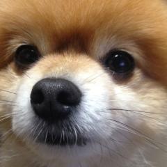 たにぃー( ^ω^ )