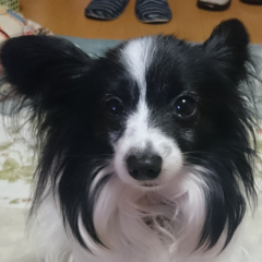 ＱＲコードアップしたから来てよな