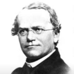 採点してやるからこいよ