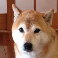 あおきひろき