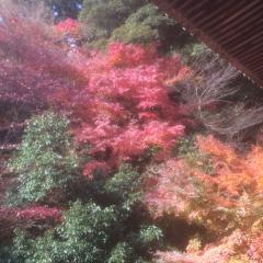 まんぷく丸のトーク