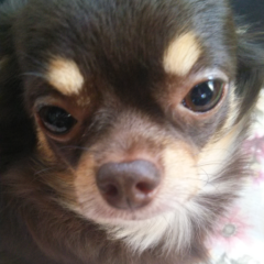 採点2します女の子きてね～(^з^)-☆100満点中何点かな♪