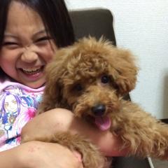 犬かってるこおいで