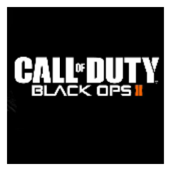 bo2エンジョイ勢。   女の子でやってる子とか募集しとるでー