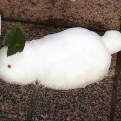 脚フェチ💕美脚判定しちゃいます👍😆💕2