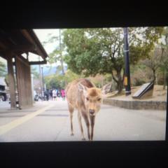 写真好きな方^o^カメラ好きな方おいで(^ ^)