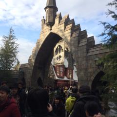 付き合うなら？