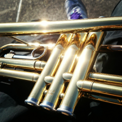 全日本サユリスト連合