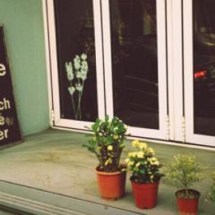 ニックネームのトーク