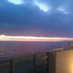 明日暇だで遊びたい