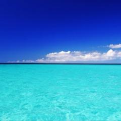 わかなのトーク